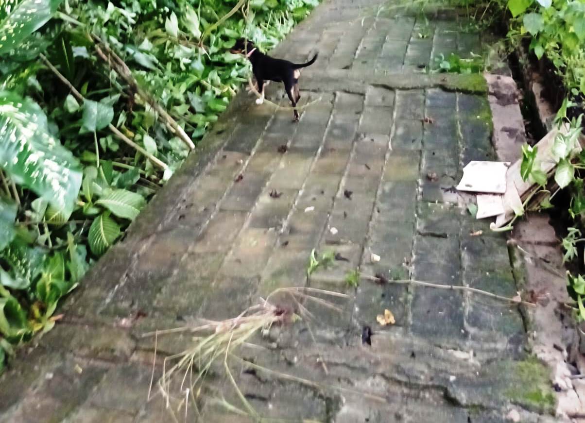 Chuva E Vento Derrubam Restante De Muro Em Parque De Barra Mansa