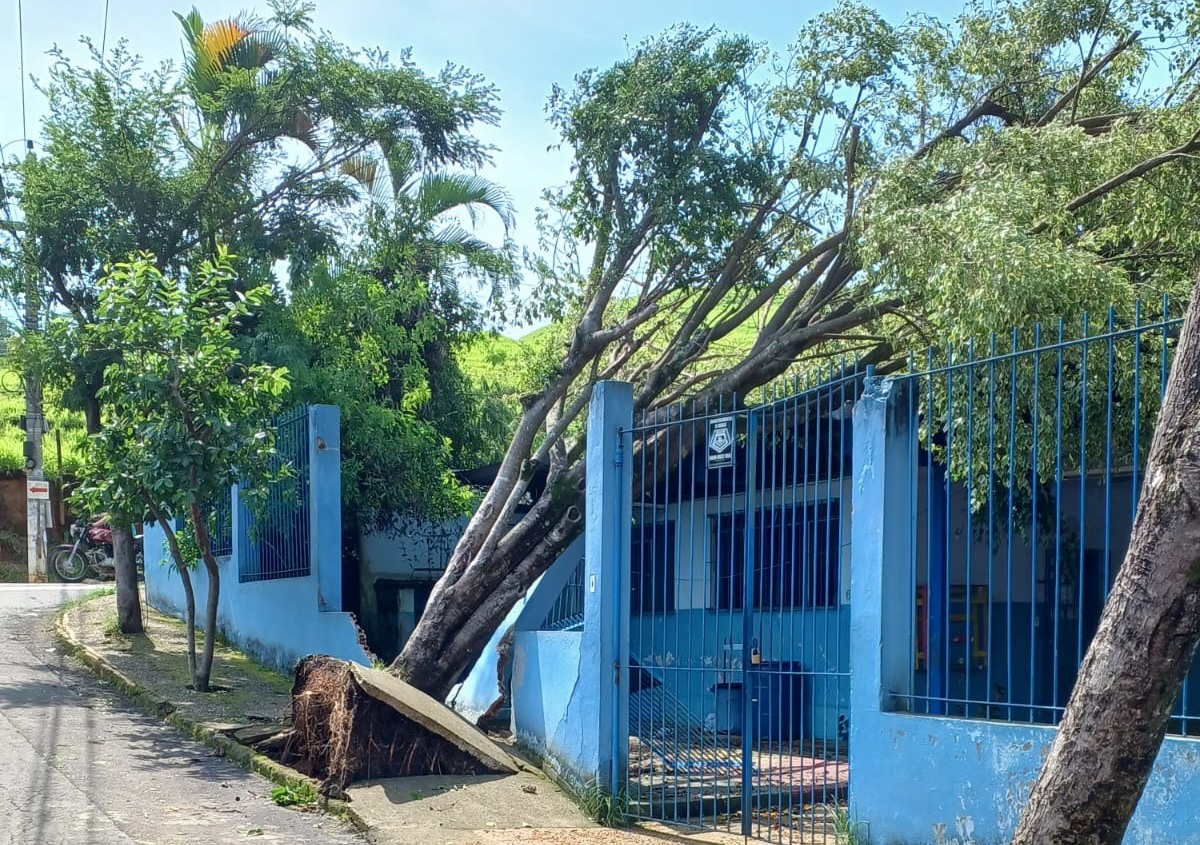 Confira Fotos De Mais Estragos Causados Pelo Vento Em Volta Redonda